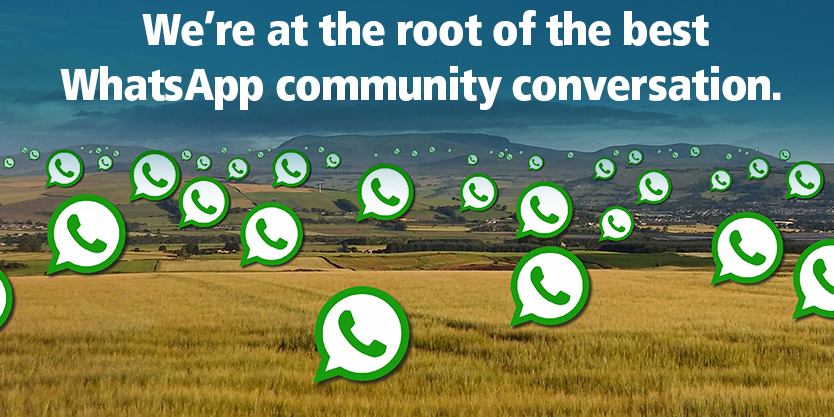 WhatsApp