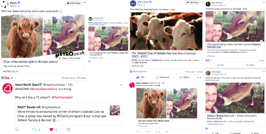 social media