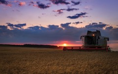 Belchim Agchem Crop Protection