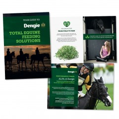 Dengie