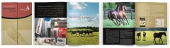 Saracen Horse Feeds, Strategic Marketing, Brochure, design, Branding, Equine, Horse Feed