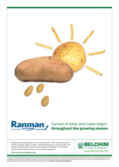 Belchim Ranman Advert