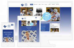Teflon Diamond Standard Awards, Website, Responsive